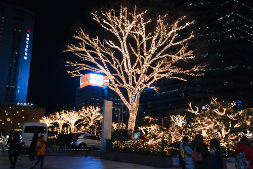 resize1796 写真: resize1796