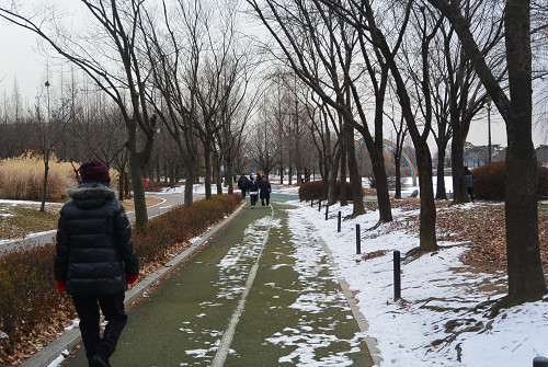 resize0878 写真: resize0878