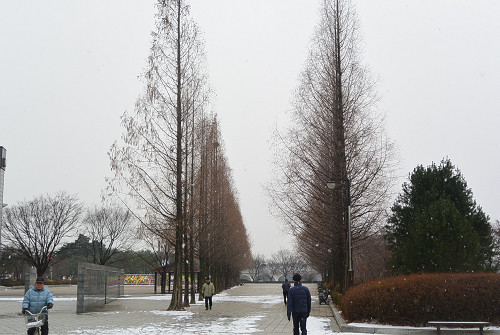 resize0899 写真: resize0899