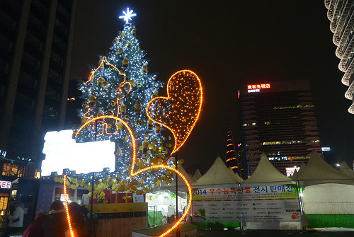 resize1000 写真: resize1000