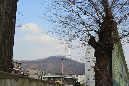 resize2070 写真: resize2070