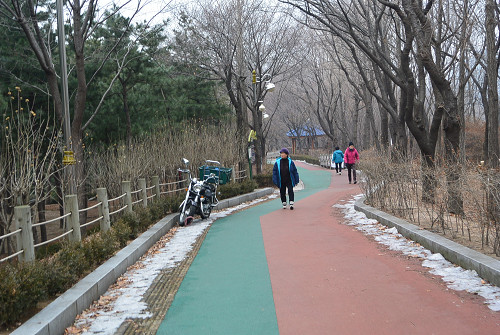 resize2196 写真: resize2196