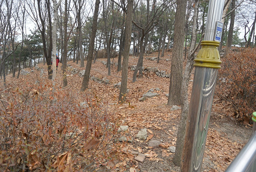 resize2201 写真: resize2201