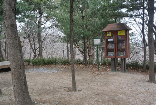 resize2213 写真: resize2213