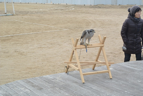 resize2216 写真: resize2216