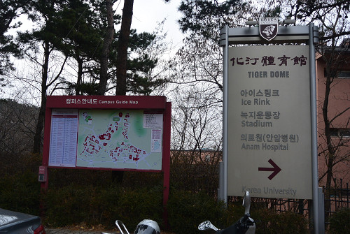 resize2222 写真: resize2222