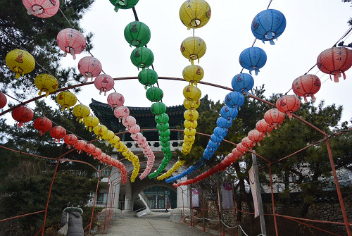 resize2235 写真: resize2235