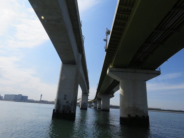 resize1428 写真: resize1428