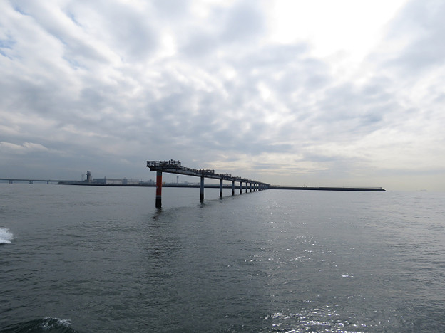 resize1455 写真: resize1455