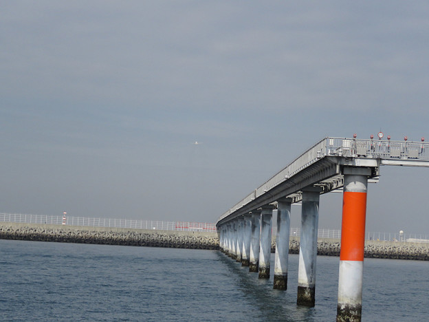 resize1503 写真: resize1503