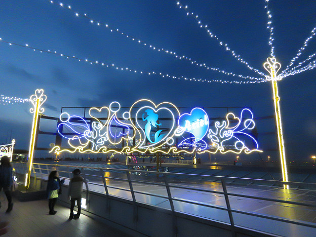 resize1685 写真: resize1685