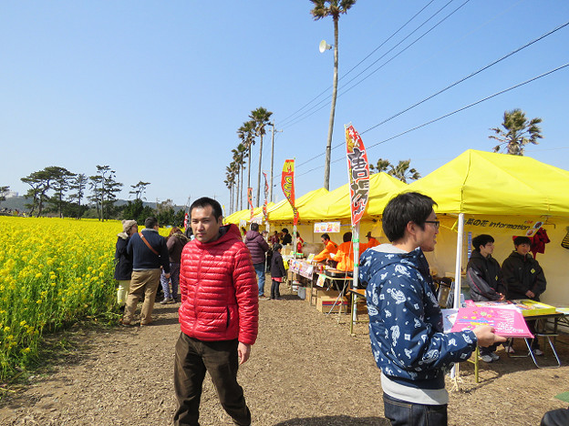 resize1718 写真: resize1718