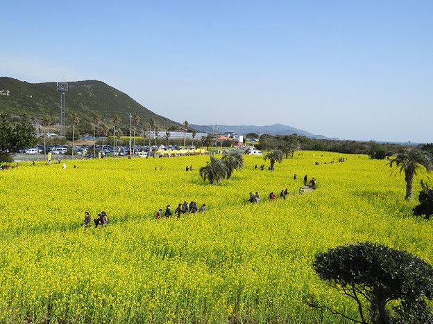 resize1733 写真: resize1733