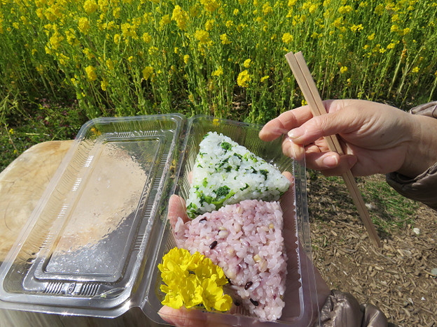 resize1755 写真: resize1755