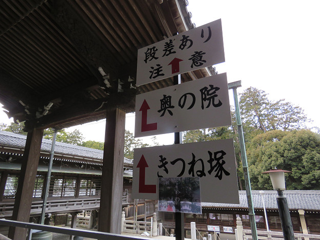 resize1818 写真: resize1818
