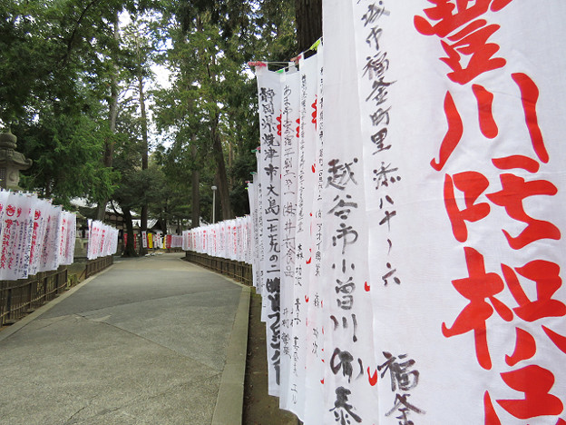 resize1820 写真: resize1820
