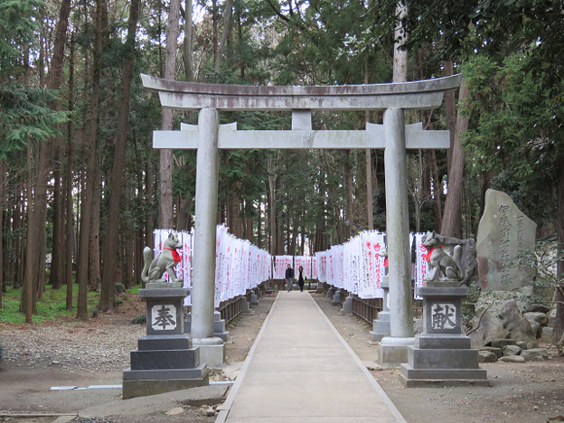 resize1822 写真: resize1822