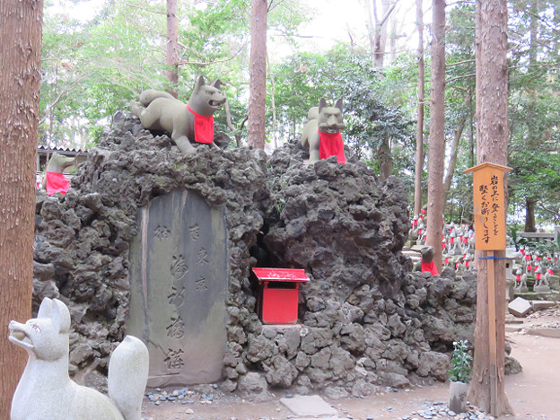 resize1824 写真: resize1824