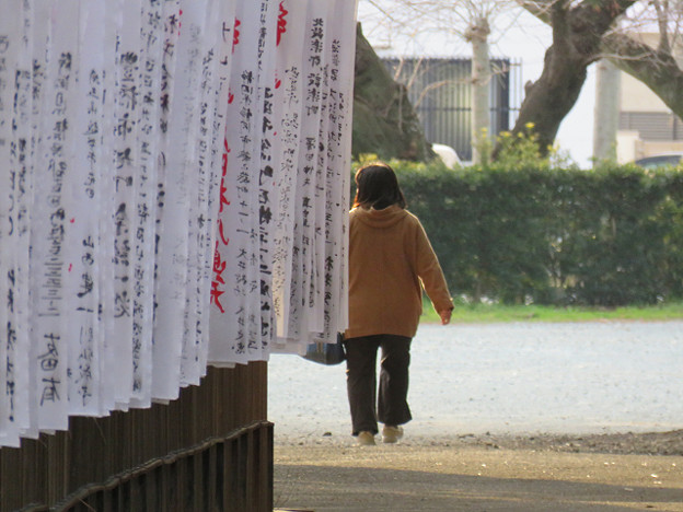 resize1827 写真: resize1827