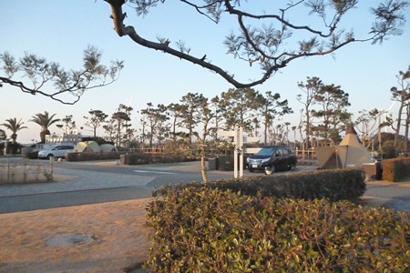 Ryuou20150124-076Site