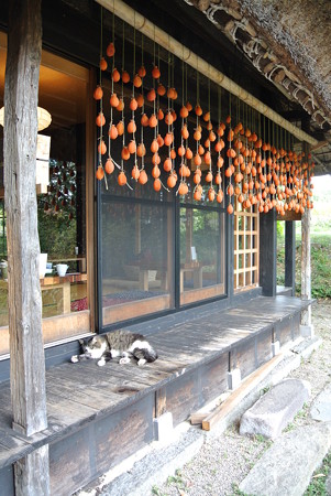 八郷の里 西伯郡伯耆町 ざるそば 漬け玉子飯 追憶のレストラン