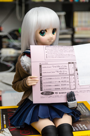 DDシェリルとDDSランカ予約