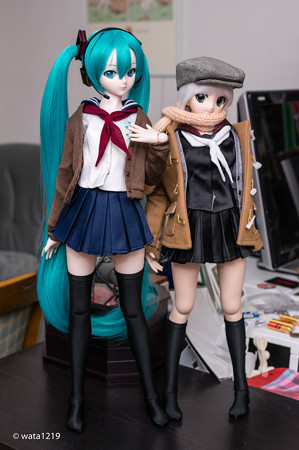 DD初音ミクとDDSマユ
