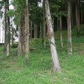 葦間山古墳
