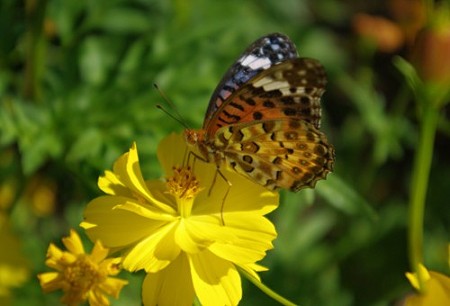 IMGP5657_0925
