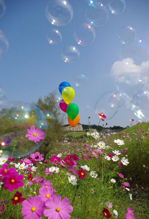 IMGP5959_1008