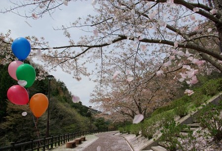 IMGP0180_0421