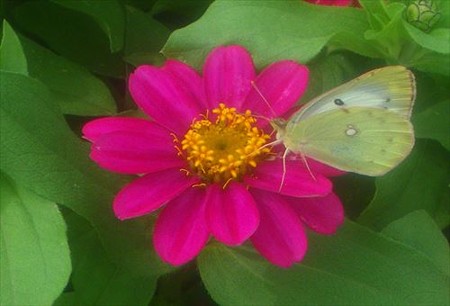 IMGP5509_0712