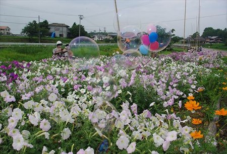 IMGP1018_0713