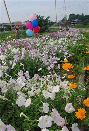 IMGP1112_0713