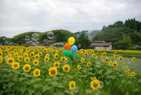 IMGP1634_0719