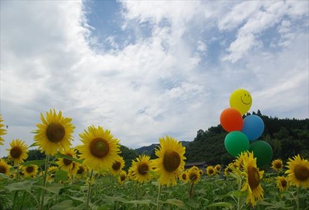 IMGP2049_0719