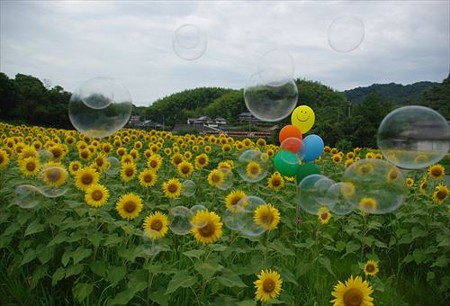 IMGP1720_0719