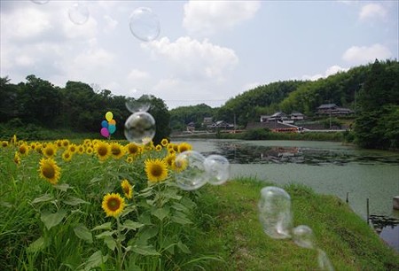 IMGP9102_0720