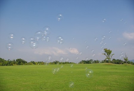 IMGP9645_0726