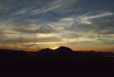 DSCF8407_0730