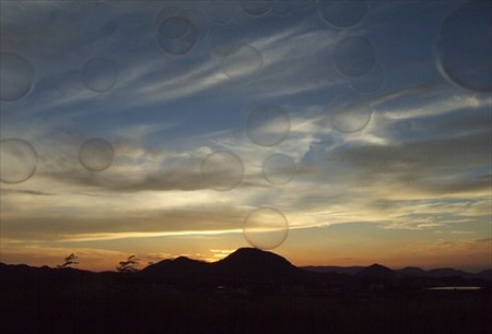 DSCF8426_0730