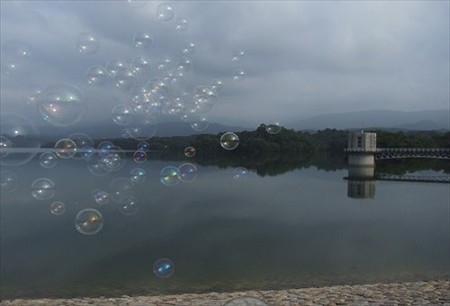 DSCF8902_0817