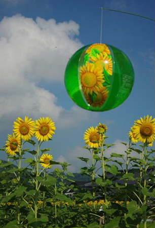 IMGP8320_0717