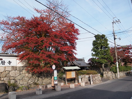 坂本駅前の紅葉