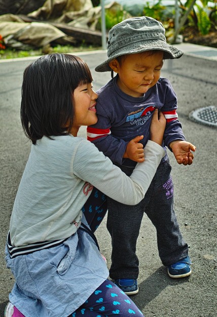 SDIM0282