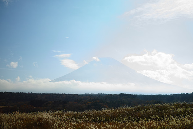 SDIM0271