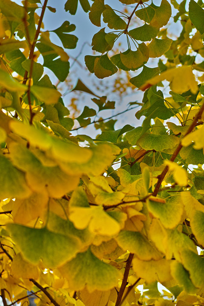 SDIM0383