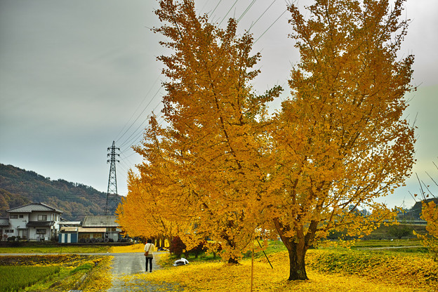 SDIM0374