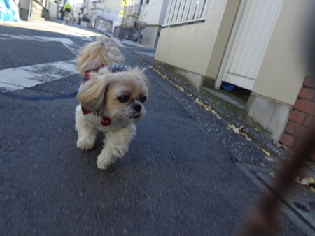 DSC08475