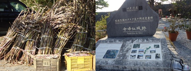 今帰仁城6
